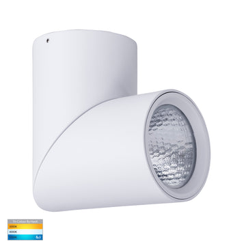 Nella White Surface Mounted Rotatable Round Downlight 18w COB TRI Colour