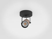 Cayuca 1 Light Spot Light Black and Wood