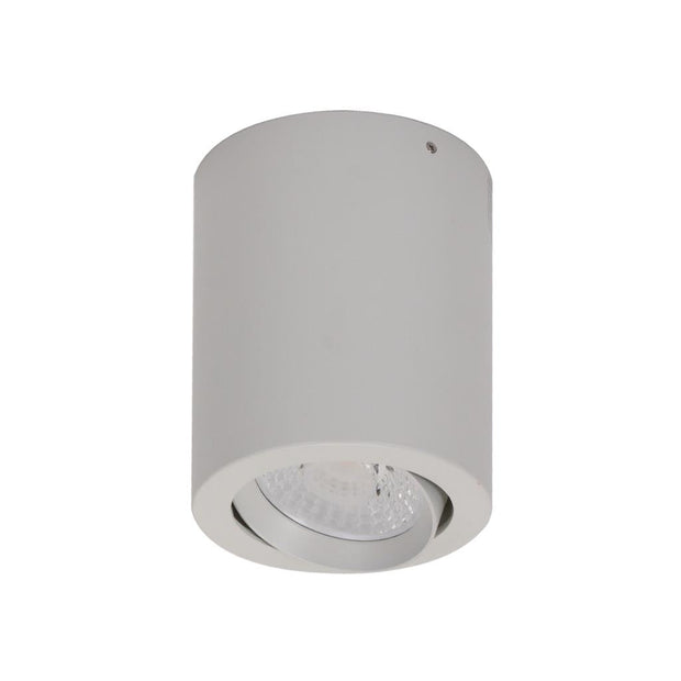 Neo 10w CCT LED Adjustable Surface Mounted Downlight White