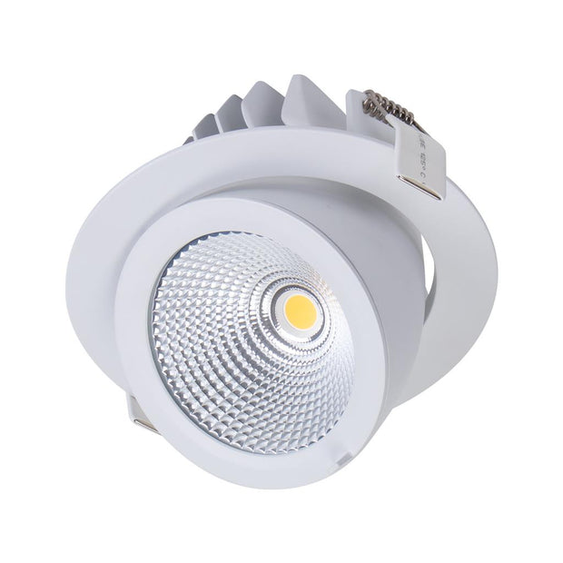 Scoop 25w CCT LED Adjustable 170mm Downlight White
